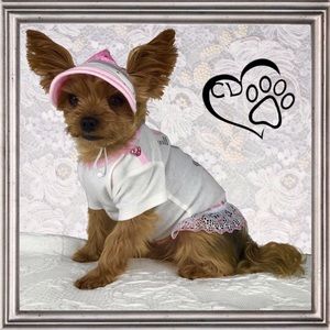 White, Pink & Silver small Dog dress with Hat